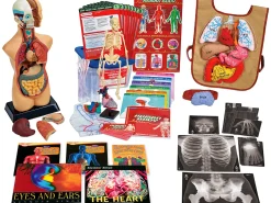 AHA Healthy Hearts & Brains Kit