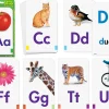 Alphabet Pocket Flash Cards