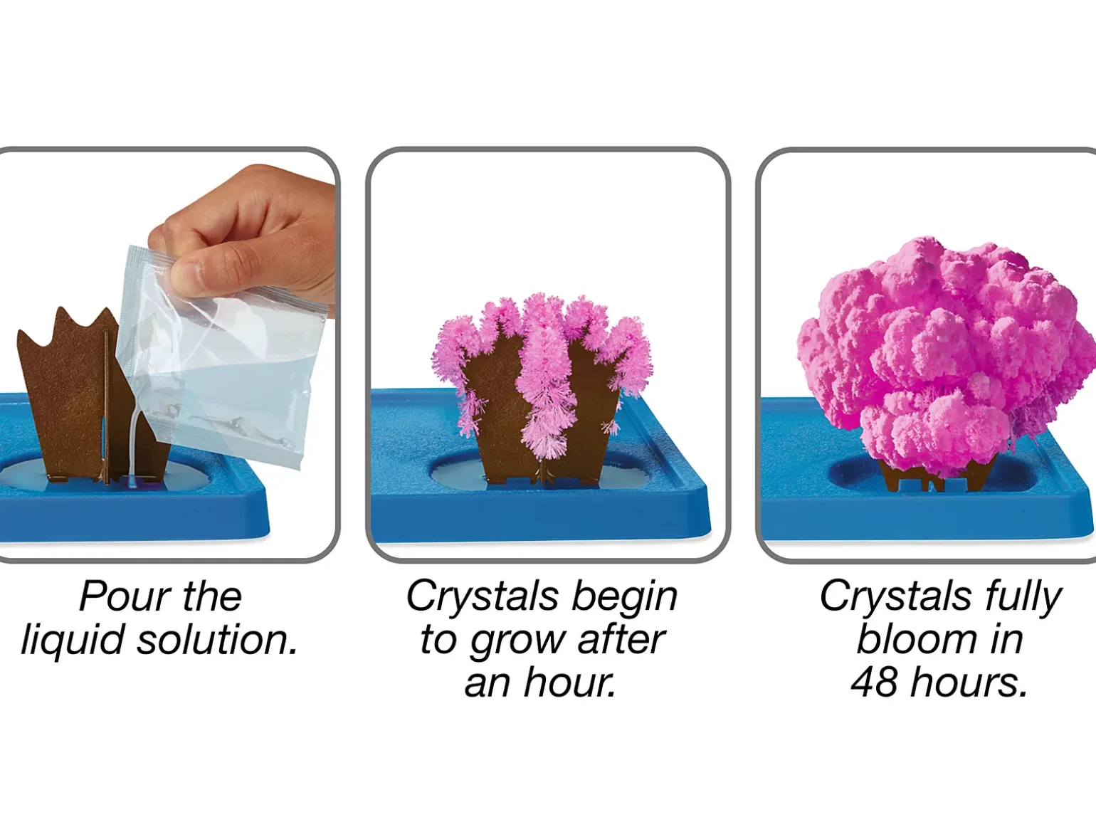 Animal Kingdom Magic Crystal Growing Kits - Complete Set