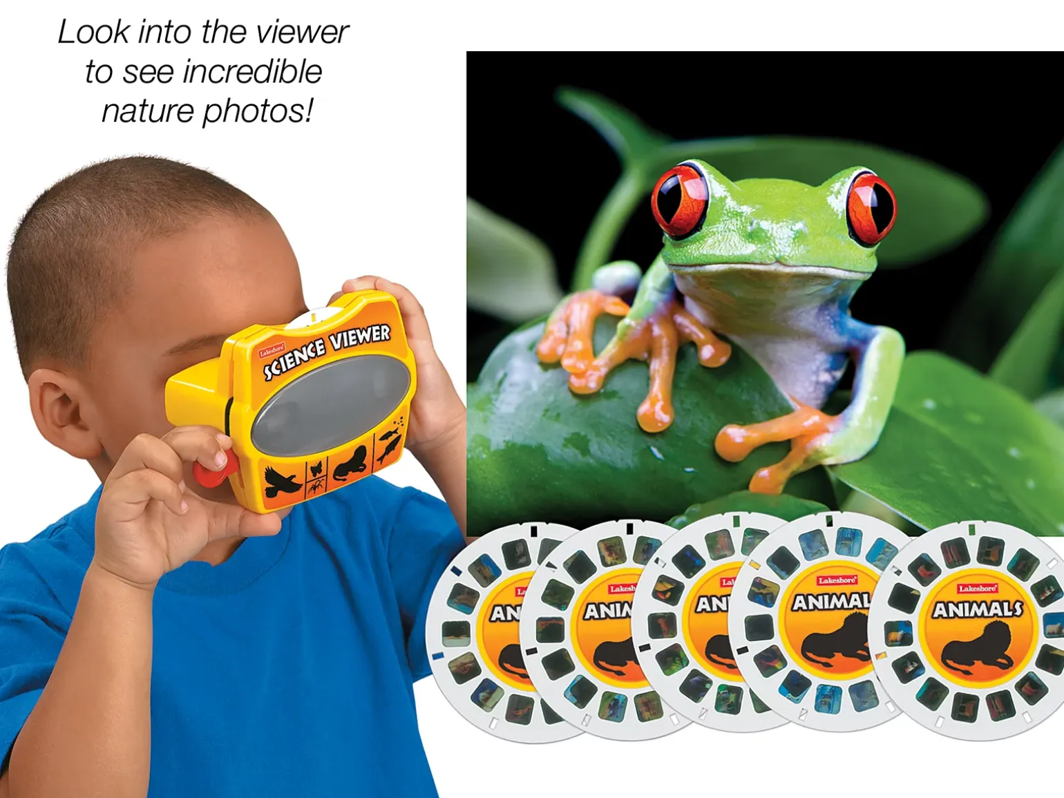 Animals Science Viewer