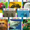 Animals Up Close Photo Books