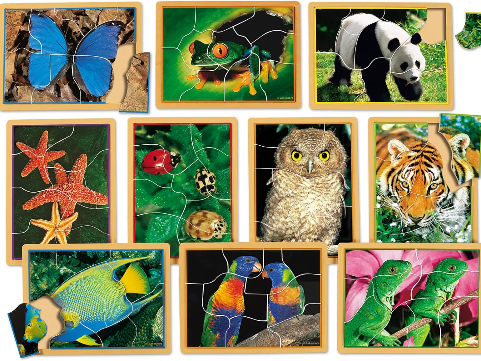 Animals Up Close Puzzle Set