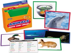 Animals Vocabulary Development Photo Card Library