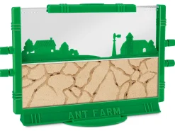Ant Farm
