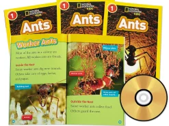 Ants Read-Along