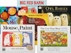 Big Book Favorites - Set 4