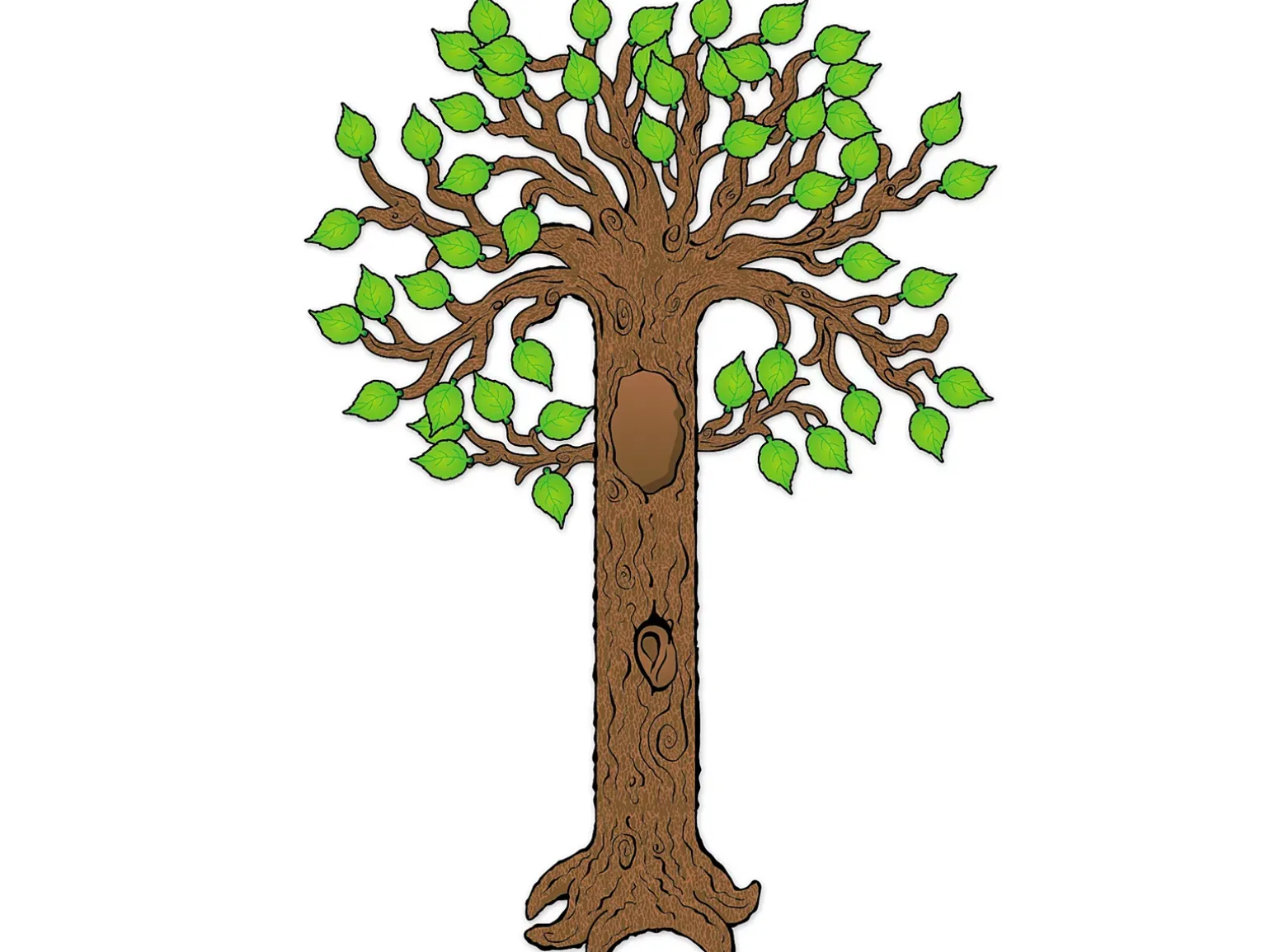 Big Tree Bulletin Board Set