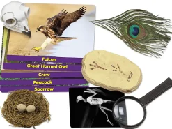 Birds Specimen Center