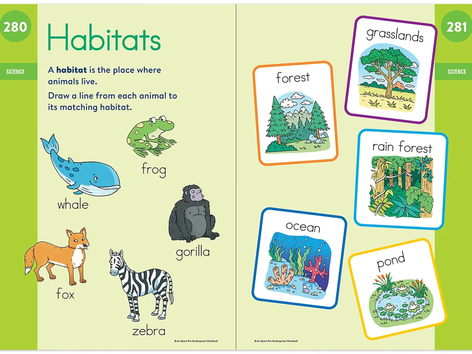 Brain Quest Workbook - Pre-K