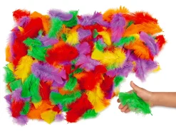 Colored Feathers
