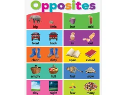 Colorful Opposites Poster