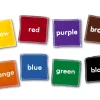 Colors Beanbag Set