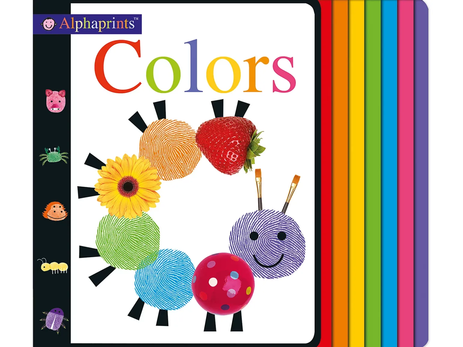 Colors Board Book
