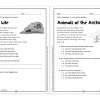 Comprehension Skills Workbook - Gr. 2