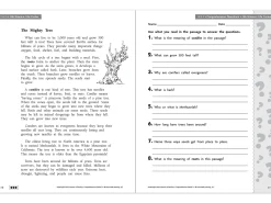 Comprehension Workbook - Gr. 3