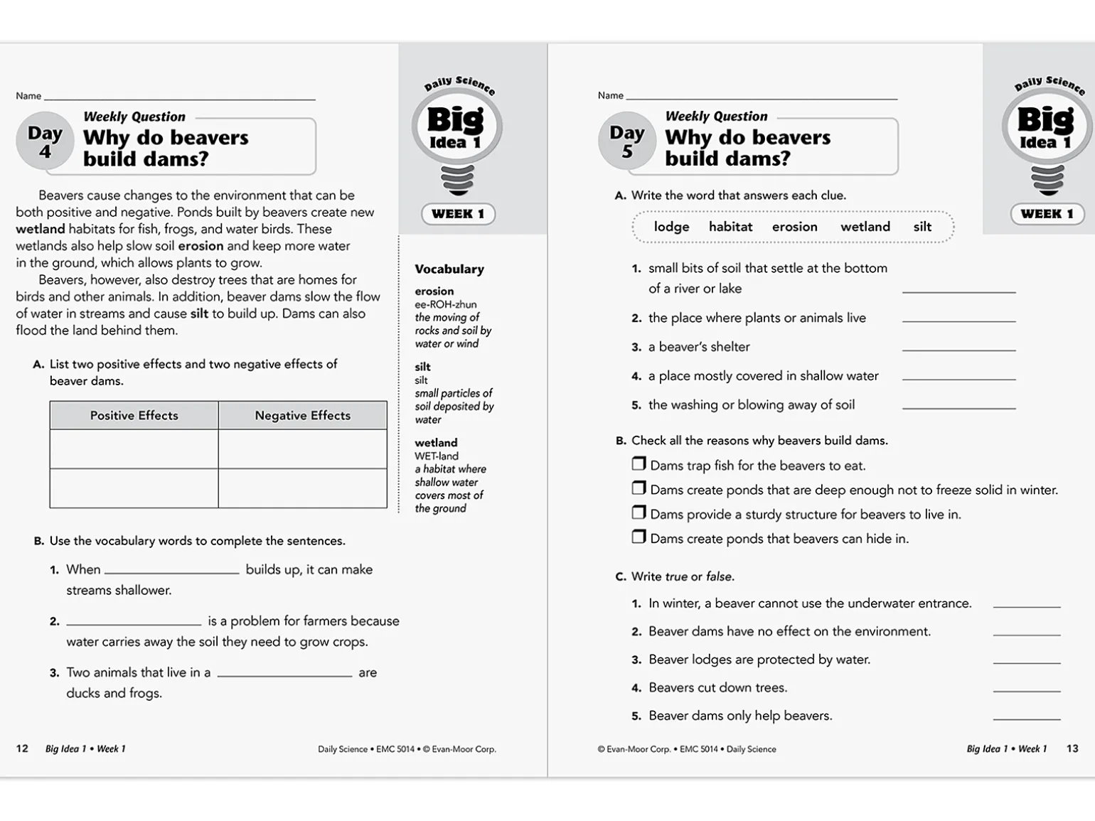 Daily Science Reproducible Activities Workbook - Gr. 4