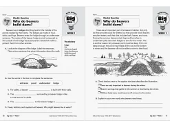 Daily Science Reproducible Activities Workbook - Gr. 4