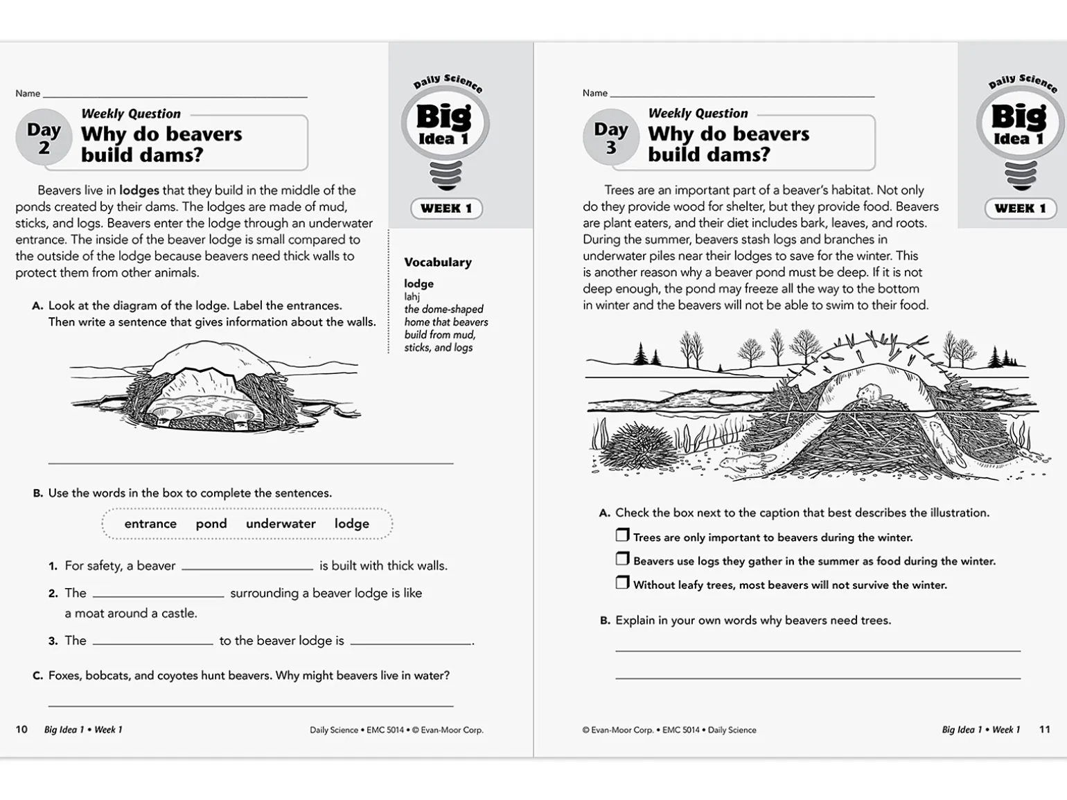 Daily Science Reproducible Activities Workbook - Gr. 4