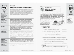 Daily Science Reproducible Activities Workbook - Gr. 4