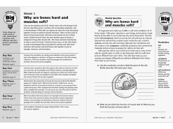 Daily Science Reproducible Activities Workbook - Gr. 5