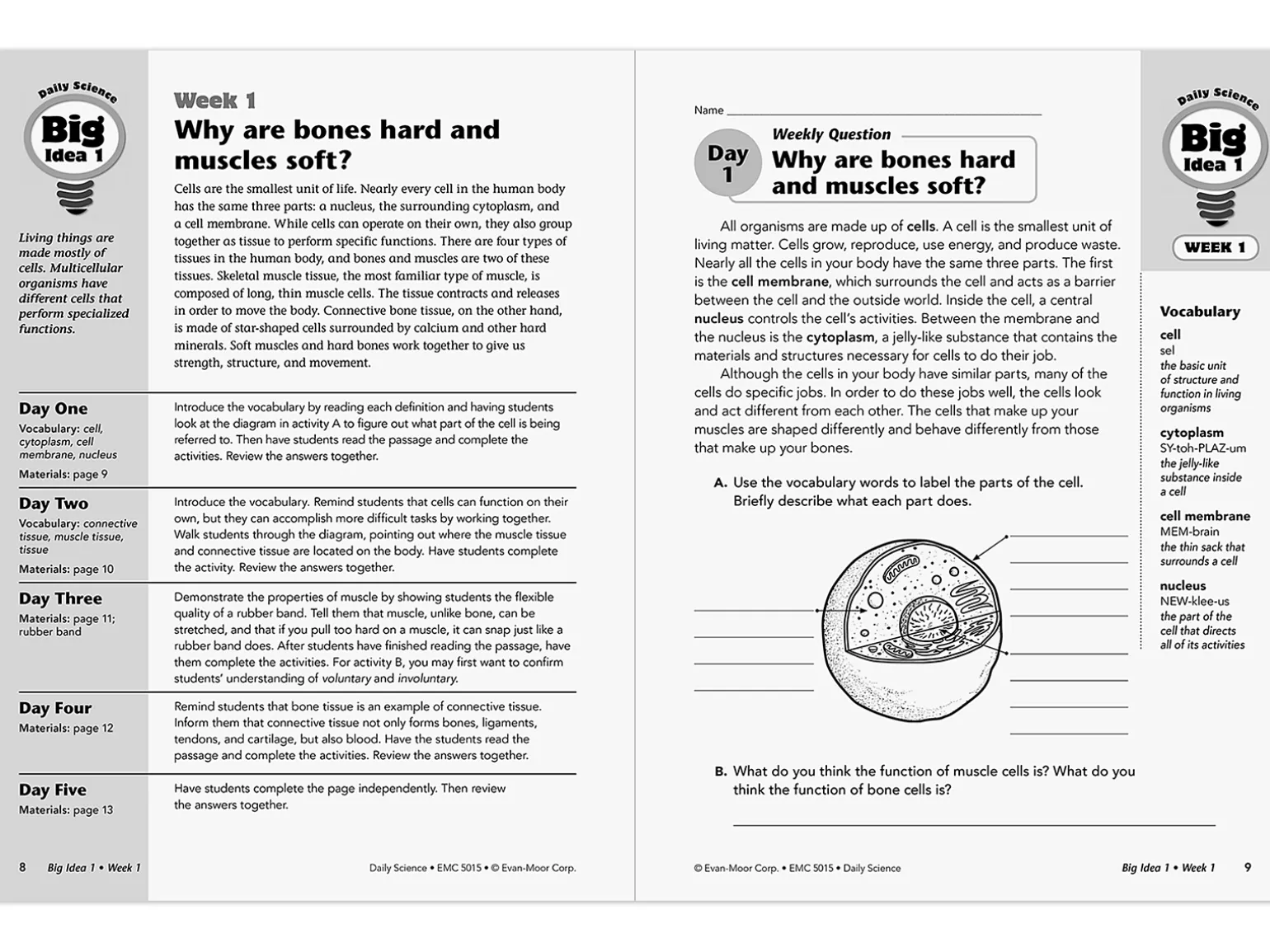 Daily Science Reproducible Activities Workbook - Gr. 5