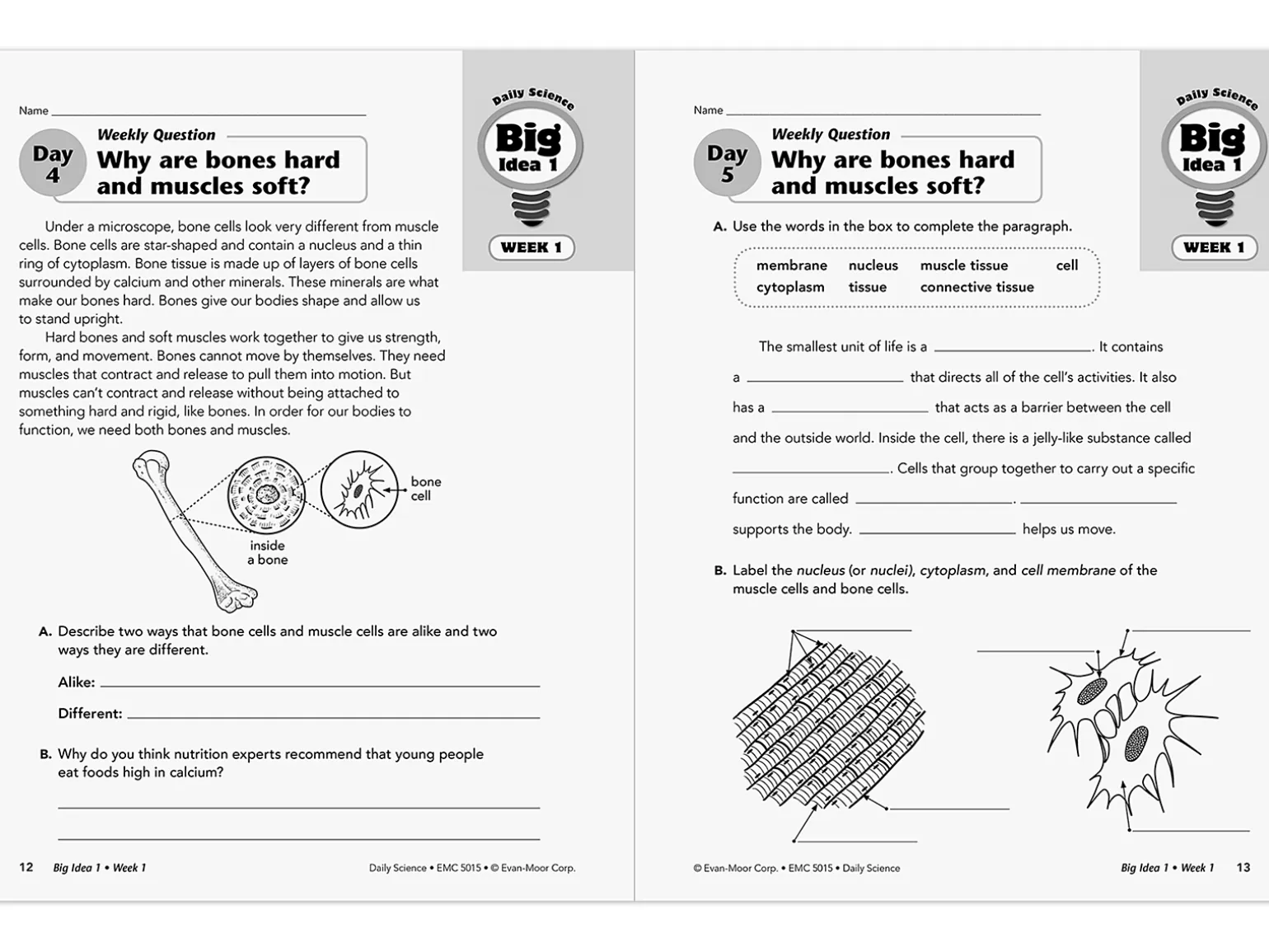 Daily Science Reproducible Activities Workbook - Gr. 5