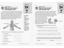 Daily Science Reproducible Activities Workbook - Gr. 5