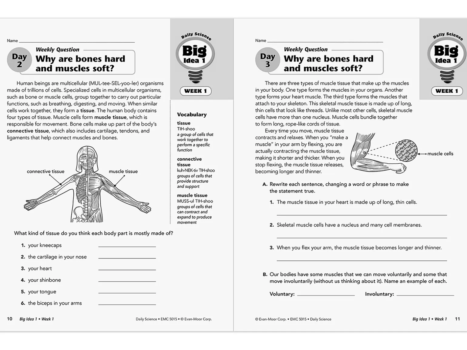 Daily Science Reproducible Activities Workbook - Gr. 5