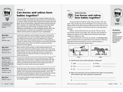 Daily Science Reproducible Activities Workbook - Gr. 6