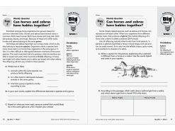 Daily Science Reproducible Activities Workbook - Gr. 6