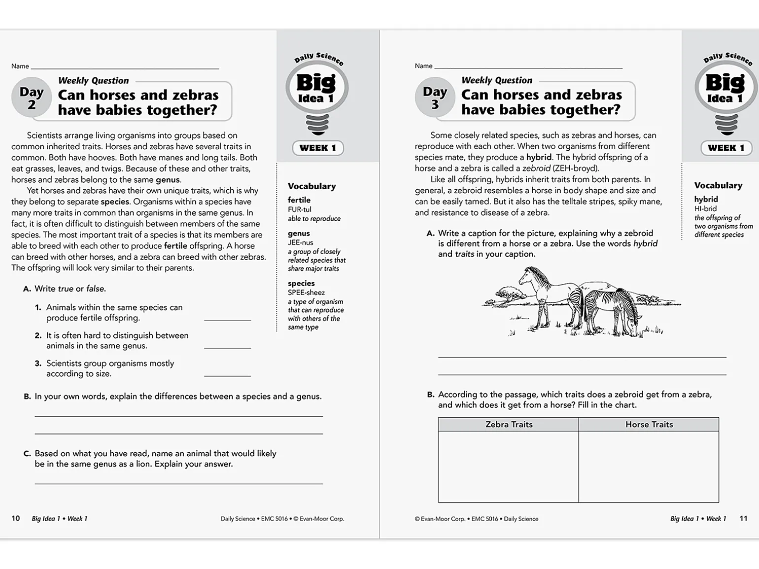 Daily Science Reproducible Activities Workbook - Gr. 6