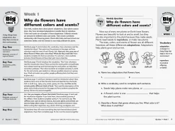 Daily Science Reproducible Activities Workbook - Gr. 3