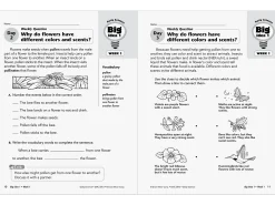 Daily Science Reproducible Activities Workbook - Gr. 3