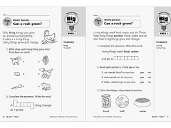 Daily Science Reproducible Activities Workbook - Gr. 1