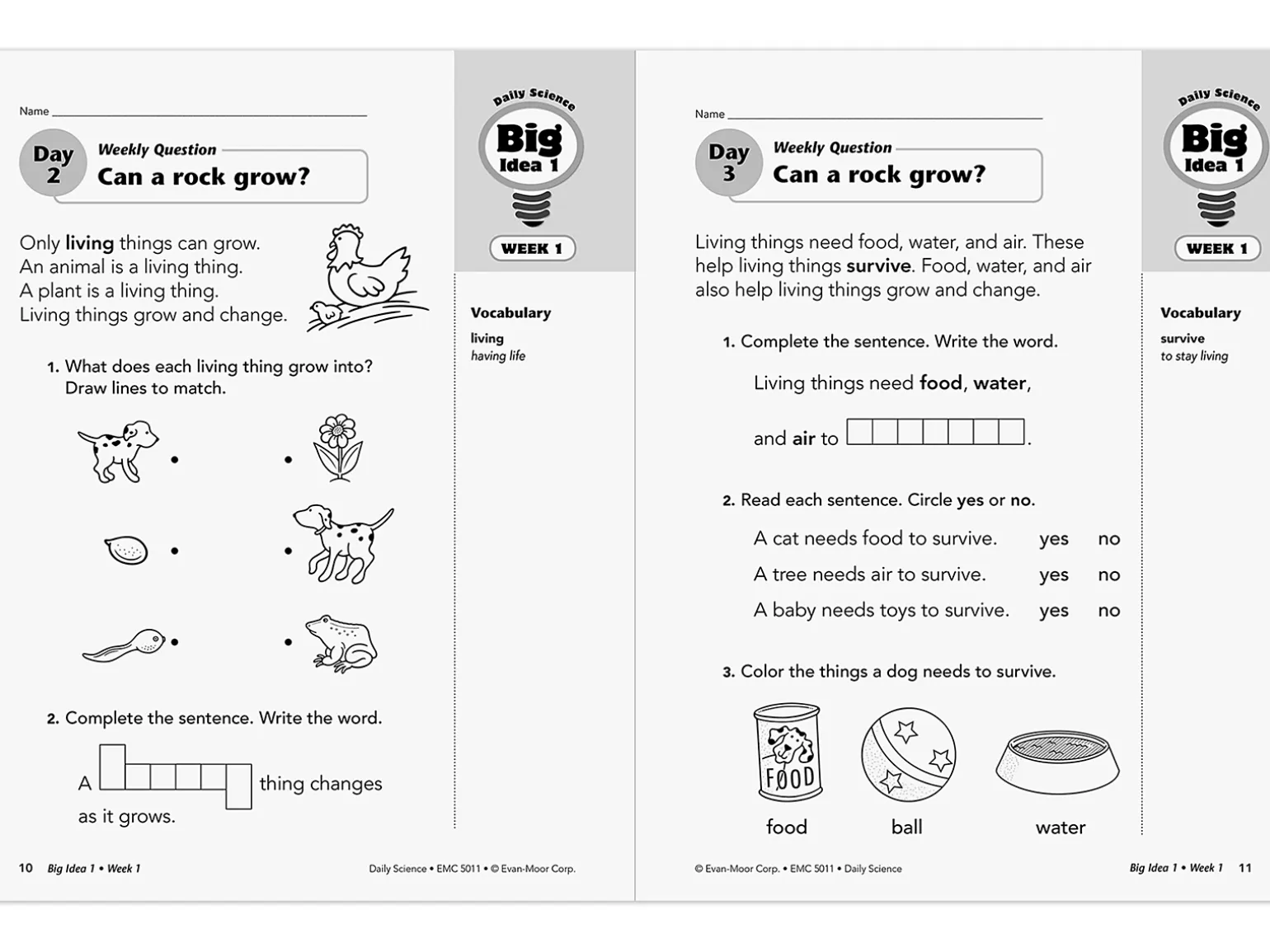 Daily Science Reproducible Activities Workbook - Gr. 1