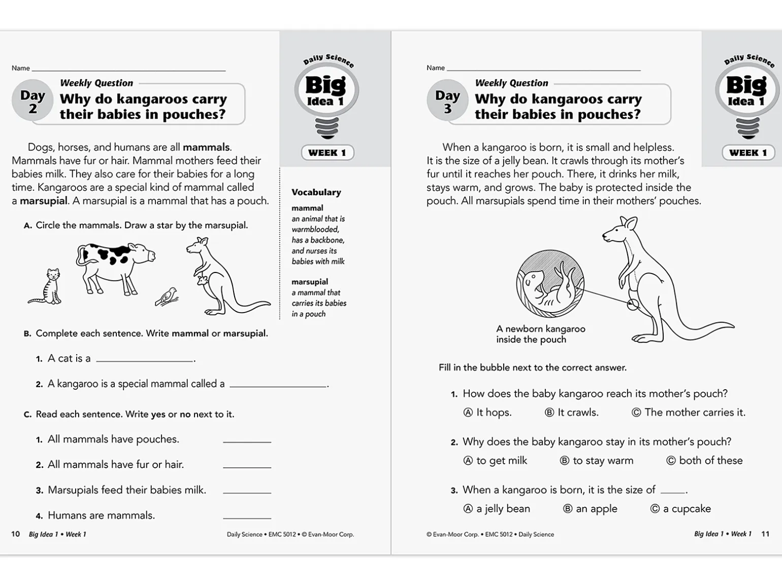 Daily Science Reproducible Activities Workbook - Gr. 2