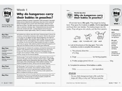 Daily Science Reproducible Activities Workbook - Gr. 2