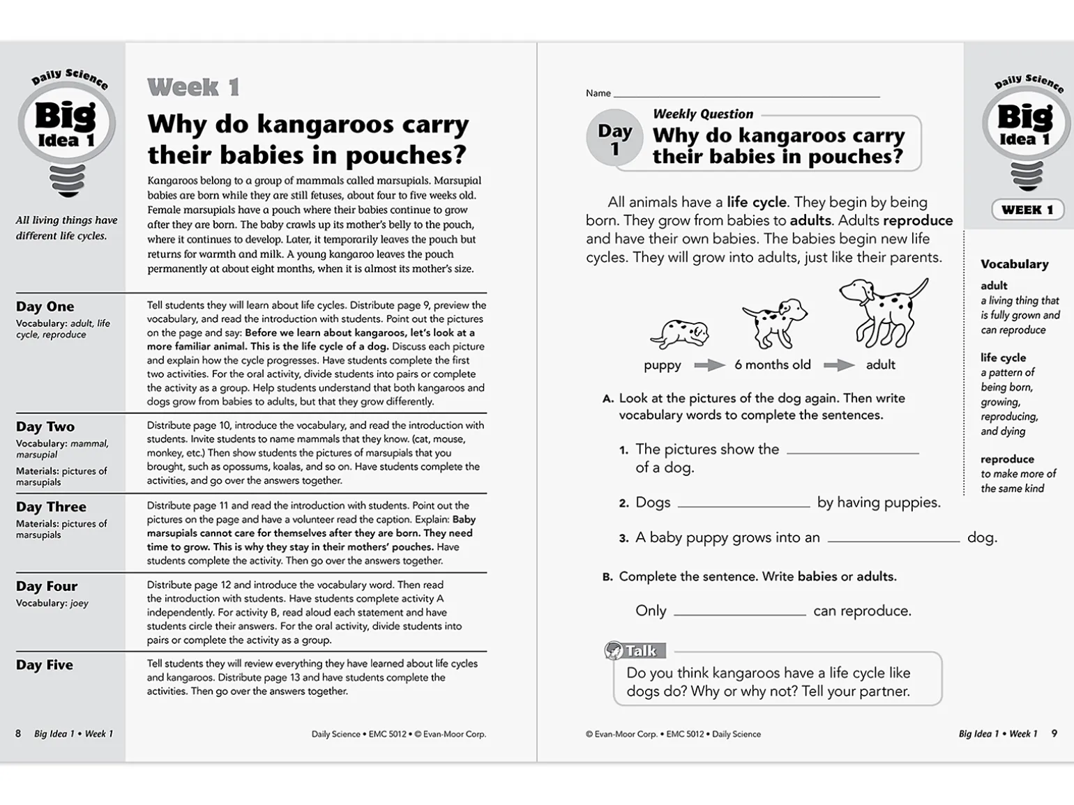 Daily Science Reproducible Activities Workbook - Gr. 2