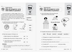 Daily Science Reproducible Activities Workbook - Gr. 2