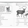 180 Days of Science Workbook - Gr. 1