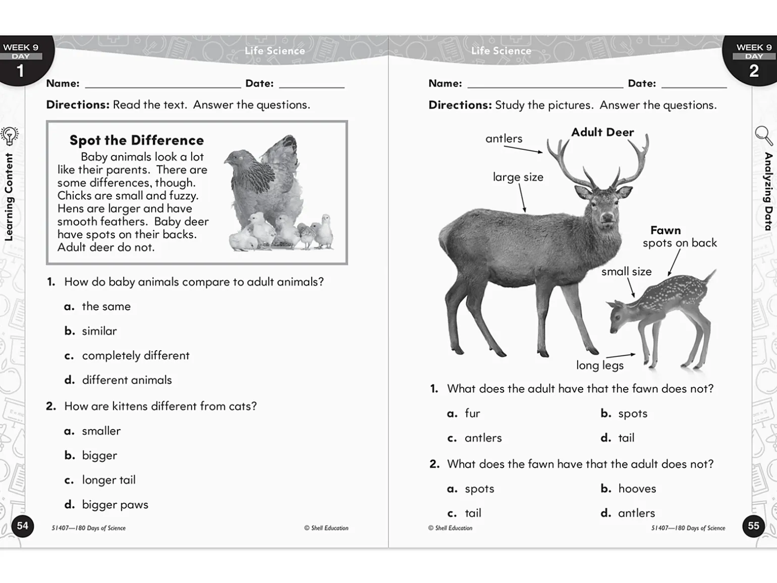 180 Days of Science Workbook - Gr. 1