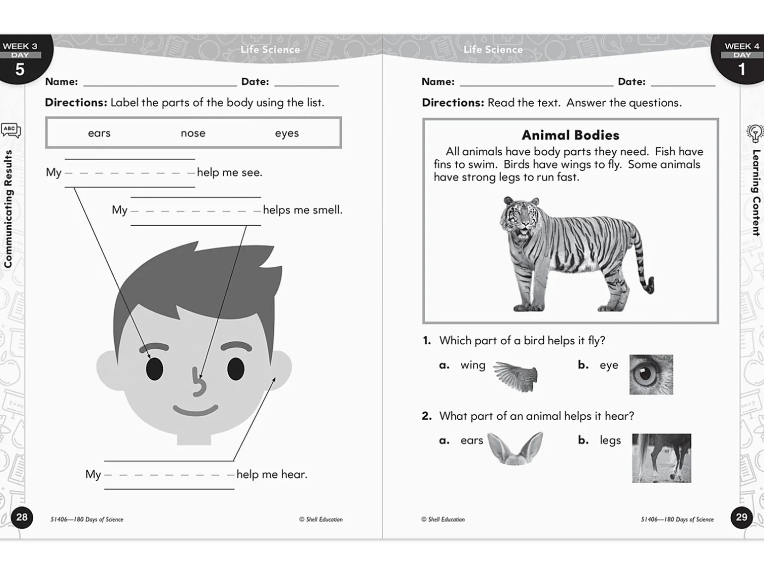 180 Days of Science Workbook - Kindergarten