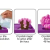 Dinosaurs Magic Crystal Growing Kit