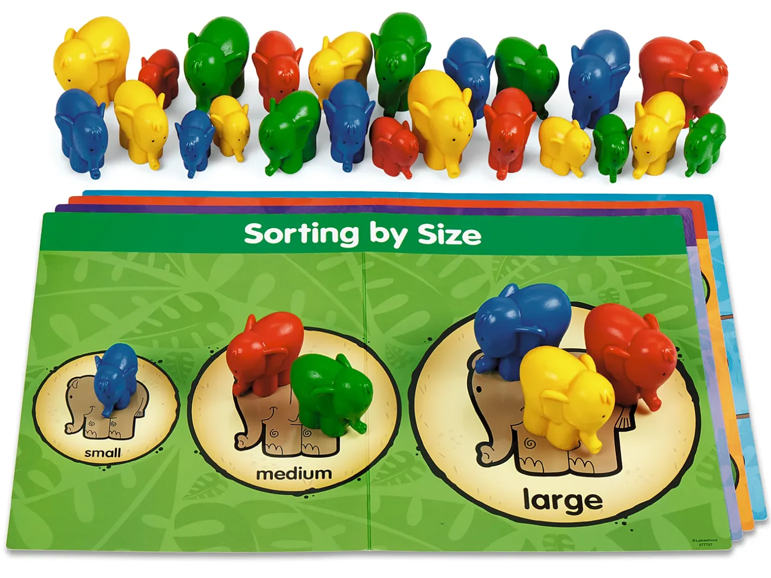 Early Math Activity Center