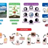 Early Science Concepts Bulletin Board Set