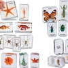 Easy-View Early Science Specimens - Complete Set