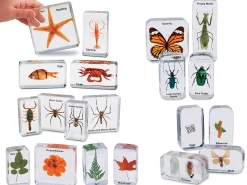Easy-View Early Science Specimens - Complete Set