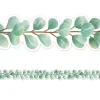 Eucalyptus Branch Border