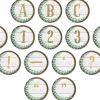 Eucalyptus Circle 3 1/2" Punch-Out Letters