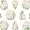 Eucalyptus Geometric Terrarium Accents